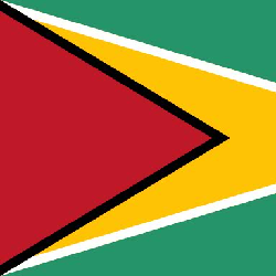 Bandera de Guyana